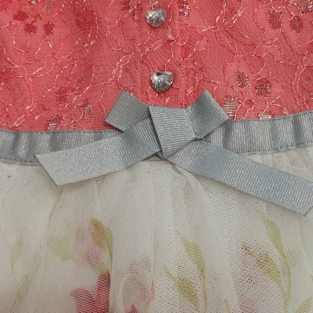 Little Lass Party Dress Size 12 Months